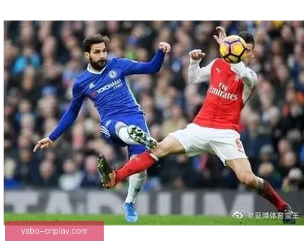 亚博体育平台最新排名及用户口碑综合分析报告