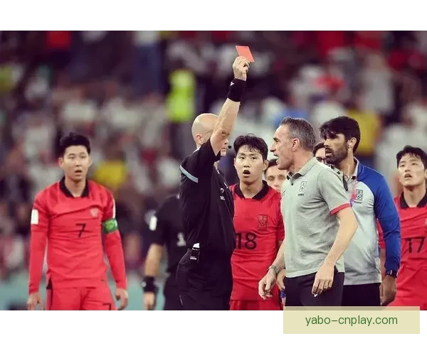 2026年世界杯足球赛：全球盛宴开启，16强争霸新纪元